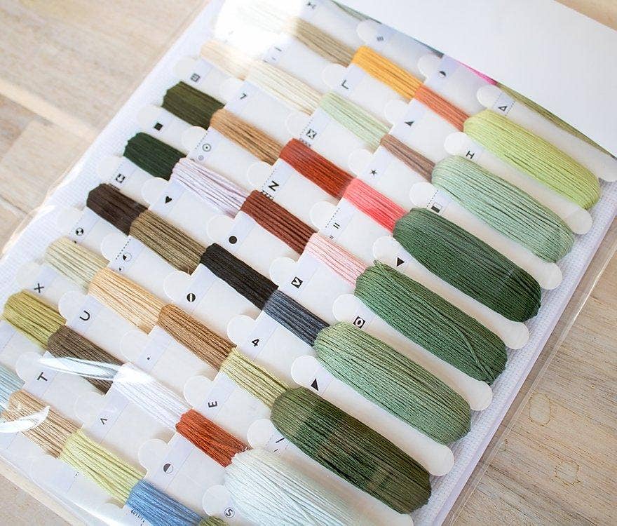 Dream Hobby Shop