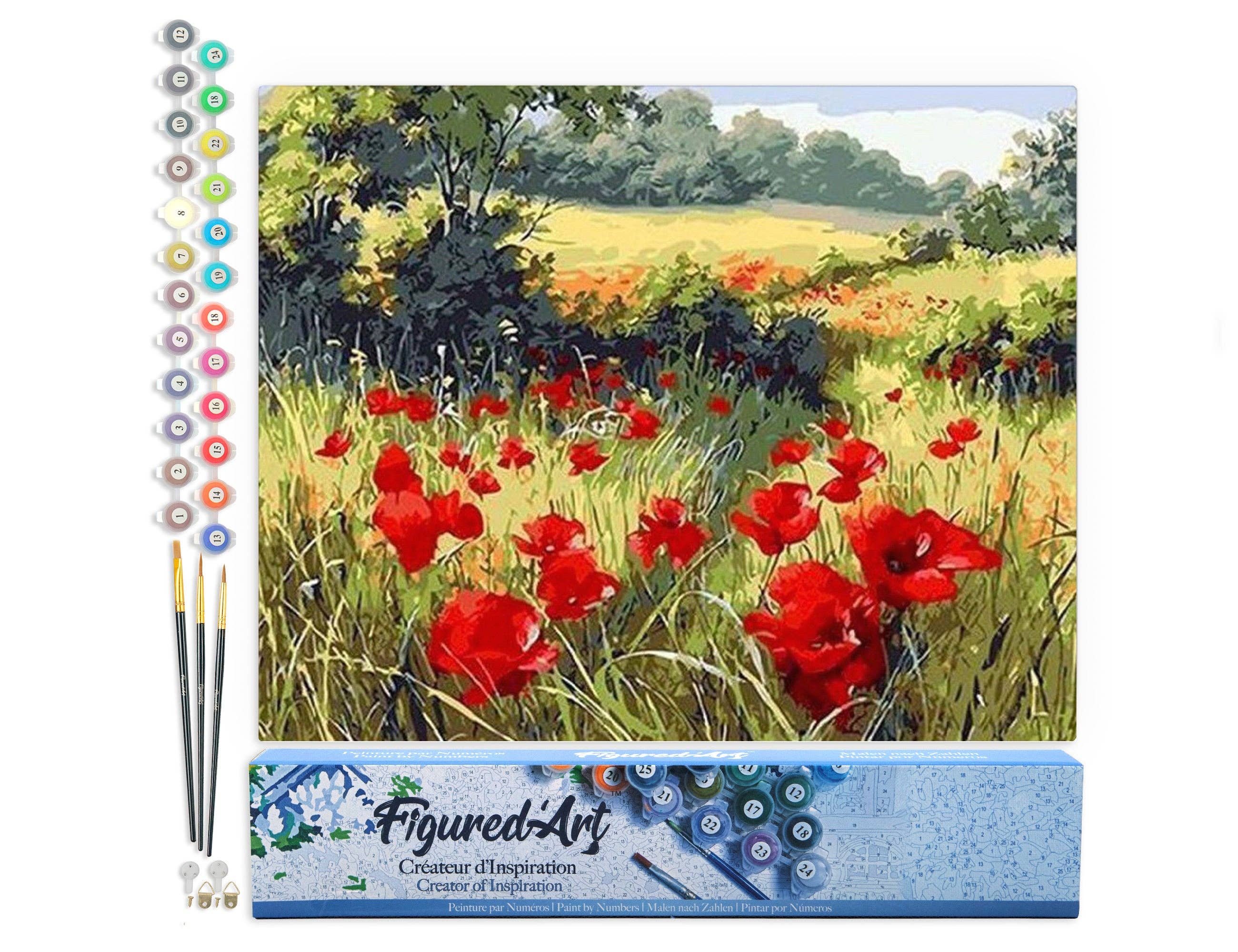 Paint by Numbers 